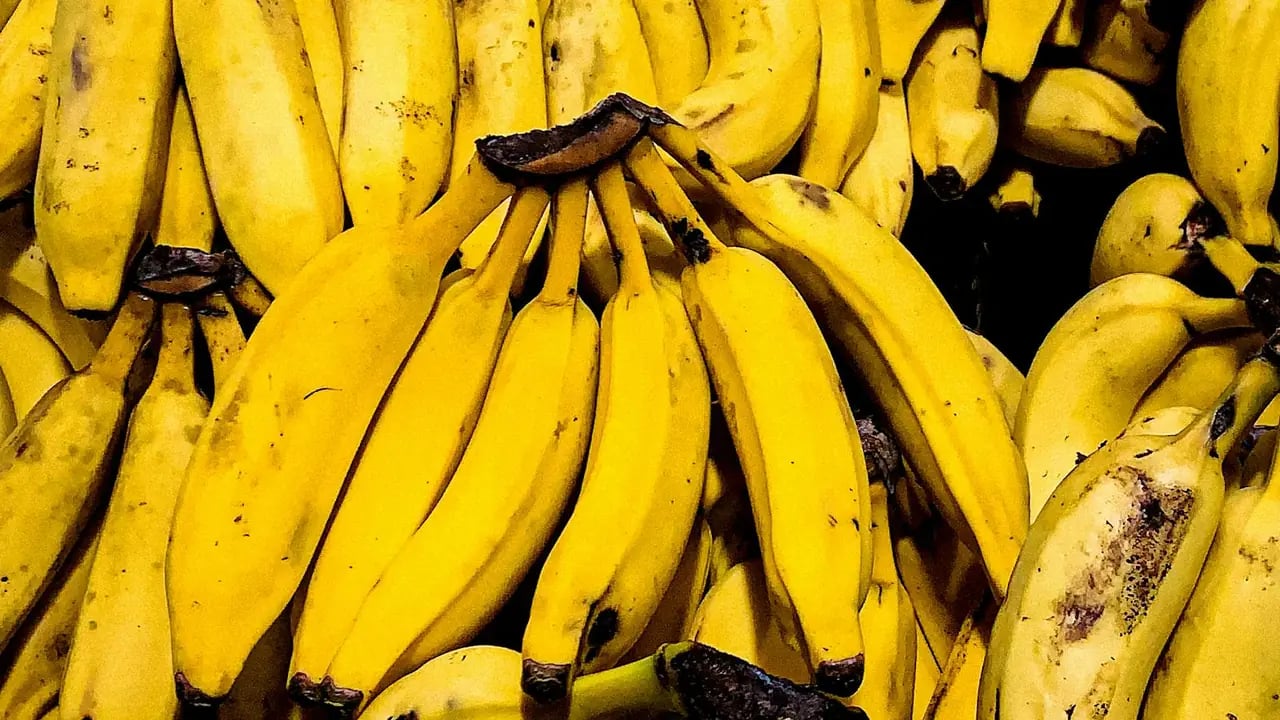 Nano Banana Pro 与 Gemini 3:AI 图像生成完整指南(2026)
